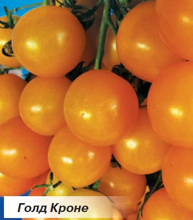 ГОЛД КРОНЕ Помидоры черри сорта Голд Кроне