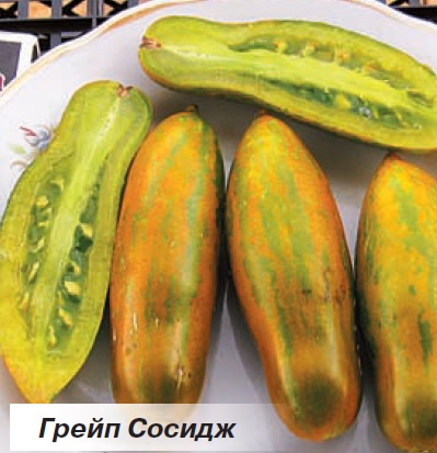 ГРЕЙП СОСИДЖ Необычные сорта томат с вытянутыми, полосатыми плодами.